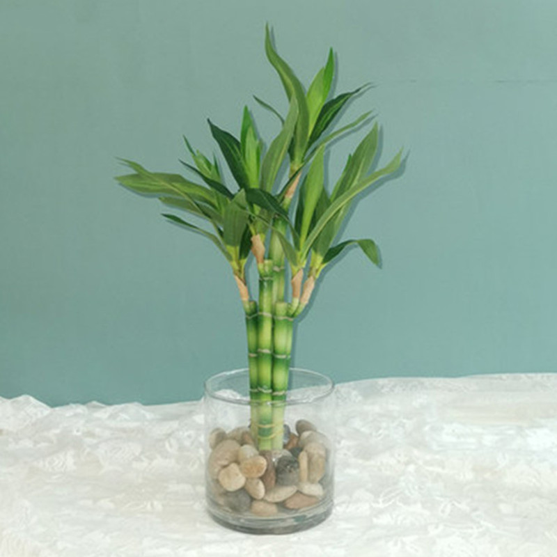 New 40cm Artificial Lucky Bamb - Outdoor Furniture Green 评论和价格