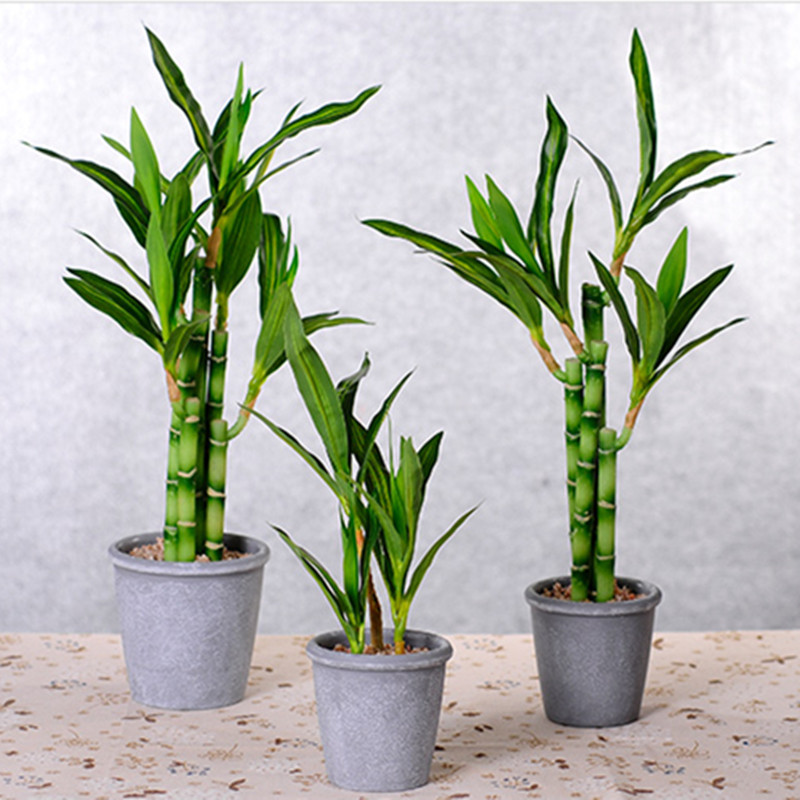New 40cm Artificial Lucky Bamb - Outdoor Furniture Green 评论和价格