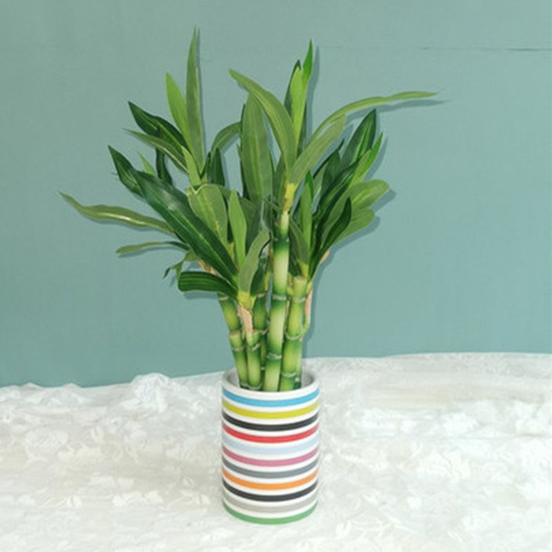 New 40cm Artificial Lucky Bamb - Outdoor Furniture Green 评论和价格